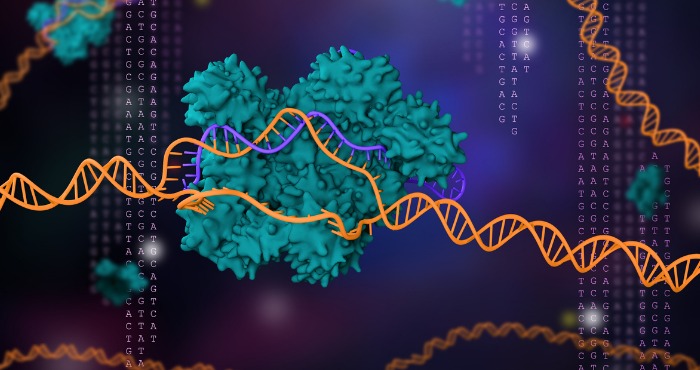 What is CRISPR and could it change how we treat disease?