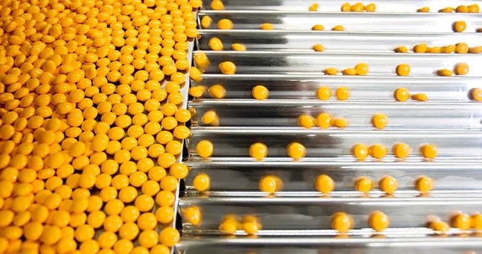 cGMP: What every quality assurance professional needs to know
