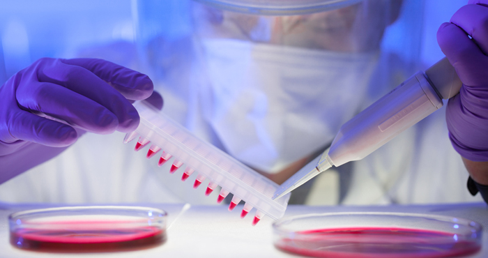 The most successful cancer drugs in 2019